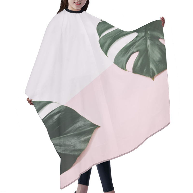 Personality  top view of green monstera leaves on pink surface hair cutting cape