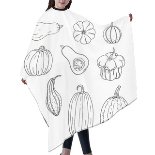 Personality  Set Of Hand Drawn Black Color Different Pumpkins. Simple Doodle Style Autumn Illustration. Hair Cutting Cape
