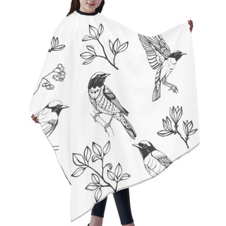 Personality  Hand Drawn Set Of Birds And Flowers. Redstart. Outline Drawing. Vector Illustration. Black And White. Hair Cutting Cape
