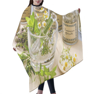 Personality  Herbal Medicine. Hair Cutting Cape