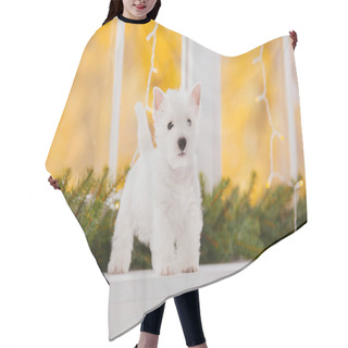 Personality  West Highland White Terrier Puppy On A Bed. Christmas Scenery And Interior Hair Cutting Cape