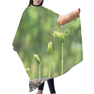 Personality  Hands Nurturing And Watering Young Plants Hair Cutting Cape