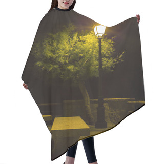 Personality  Streetlight That Illuminates Tree And Bench Hair Cutting Cape