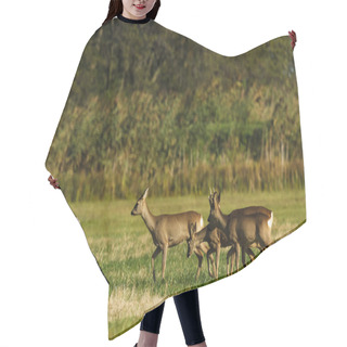 Personality  Roe Deer Hair Cutting Cape