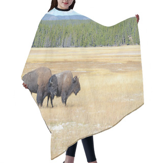 Personality  American Bison, Yellowstone National Park, Rocky Mountains Hair Cutting Cape