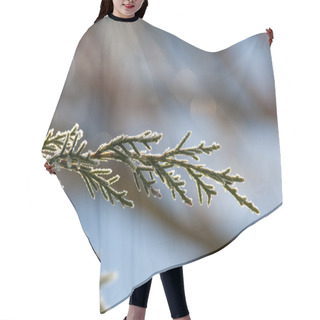 Personality  Sunlit Frosted Pine Needles Hair Cutting Cape