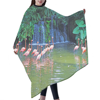 Personality  Pink Flamingos On Lake With Waterfalls In Rainorest. Hair Cutting Cape