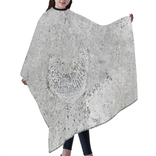 Personality  Stone Texture With Fossils  Hair Cutting Cape