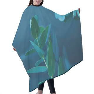 Personality  Close Up View Of Eucalyptus Plant With Green Leaves In Water Hair Cutting Cape