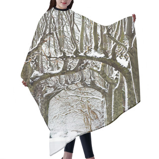 Personality  Snow Parade Hair Cutting Cape