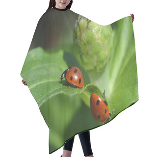 Personality  Two Ladybugs Vice Versa To Each Other Hair Cutting Cape