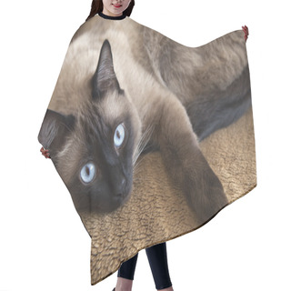 Personality  Siamese Cat Hair Cutting Cape