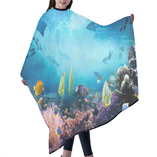 Personality  Underwater Sea World. Life In A Coral Reef. Colorful Tropical Fish. Ecosystem.  Hair Cutting Cape
