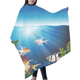 Personality  A Group Of Fishes Underwater Hair Cutting Cape