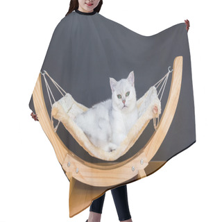 Personality  White Cat Lying Lazy In Hammock Hair Cutting Cape
