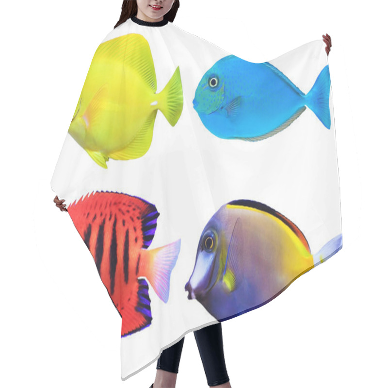 Personality  Set Of Tropical Sea Fishs Hair Cutting Cape