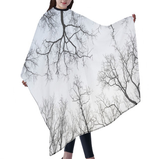 Personality  Snowy Winter Park In Mist Hair Cutting Cape