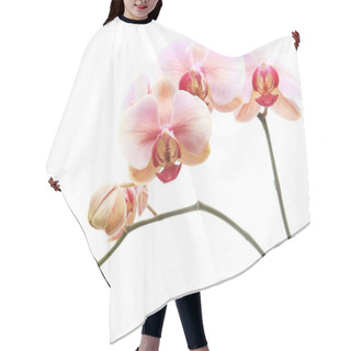 Personality  Pink Orchid Flowers Hair Cutting Cape