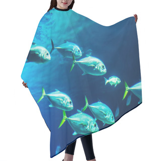 Personality  School Of Fishes Hair Cutting Cape