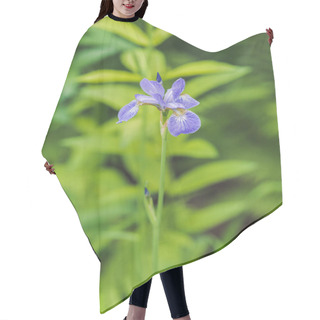 Personality  Close-up Shot Of Beautiful Iris Flower On Green Natural Background Hair Cutting Cape