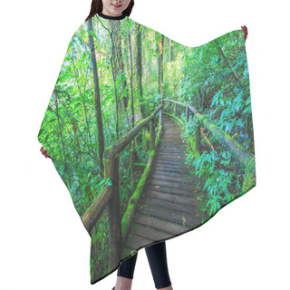 Personality  Passage In The Primeval Forest Hair Cutting Cape