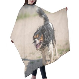 Personality  Dog Shakes Hair Cutting Cape