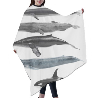 Personality  Realistic 3D Render Of Whales Collection Hair Cutting Cape
