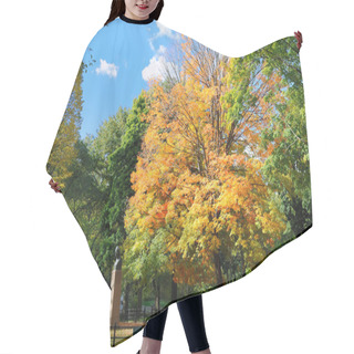 Personality  Fall Leaves In Central Park Hair Cutting Cape