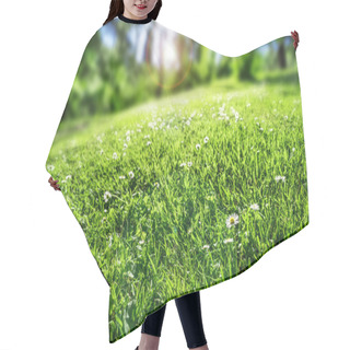 Personality  Spring Grass Hair Cutting Cape