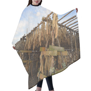 Personality  Fish Hanging To Dry On Wooden Construction. Hair Cutting Cape