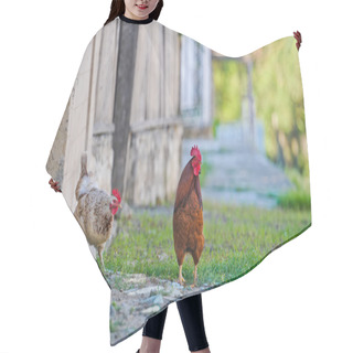 Personality  Chickens Hair Cutting Cape