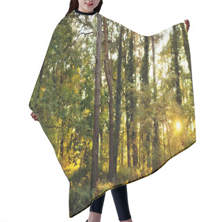 Personality  Forest Sunset Hair Cutting Cape
