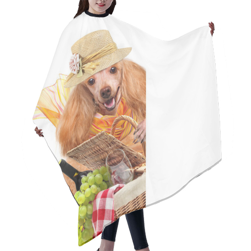 Personality  Dog With Picnic Basket Hair Cutting Cape