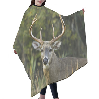 Personality  Buck Whitetail Deer Hair Cutting Cape