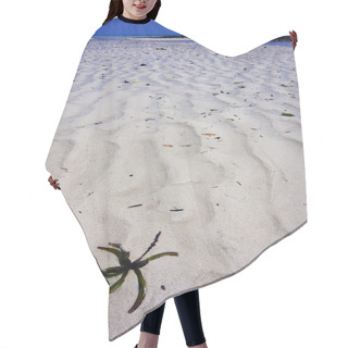 Personality  Beach And Sand In Sand Bank  Zanzibar Hair Cutting Cape