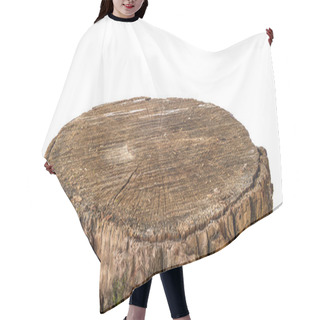 Personality  Wooden Stump Isolated Hair Cutting Cape
