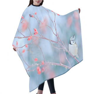 Personality  Cute Songbird Crested Tit Hair Cutting Cape