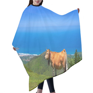 Personality  Asturias Cow In High Mountain And Sea In Background Of Spain Hair Cutting Cape