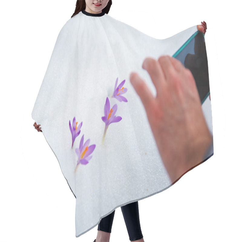 Personality  phone taking pictures of flowers of spring. crocuses in snow hair cutting cape