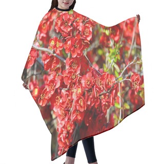 Personality  Japanese Quince Branch Hair Cutting Cape