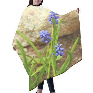 Personality  Hyacinth Flowers. Hair Cutting Cape