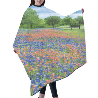 Personality  Wildflower Field In Texas Spring Hair Cutting Cape