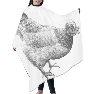 Personality  Illustration With Realistic Hen Hair Cutting Cape