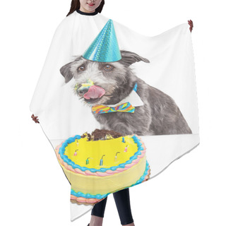 Personality  Messy Birthday Dog Eating Cake Hair Cutting Cape