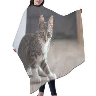 Personality  Small Grey Pet Kitten Playing Indoor Hair Cutting Cape
