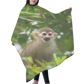 Personality  Squirrel Monkey Hair Cutting Cape