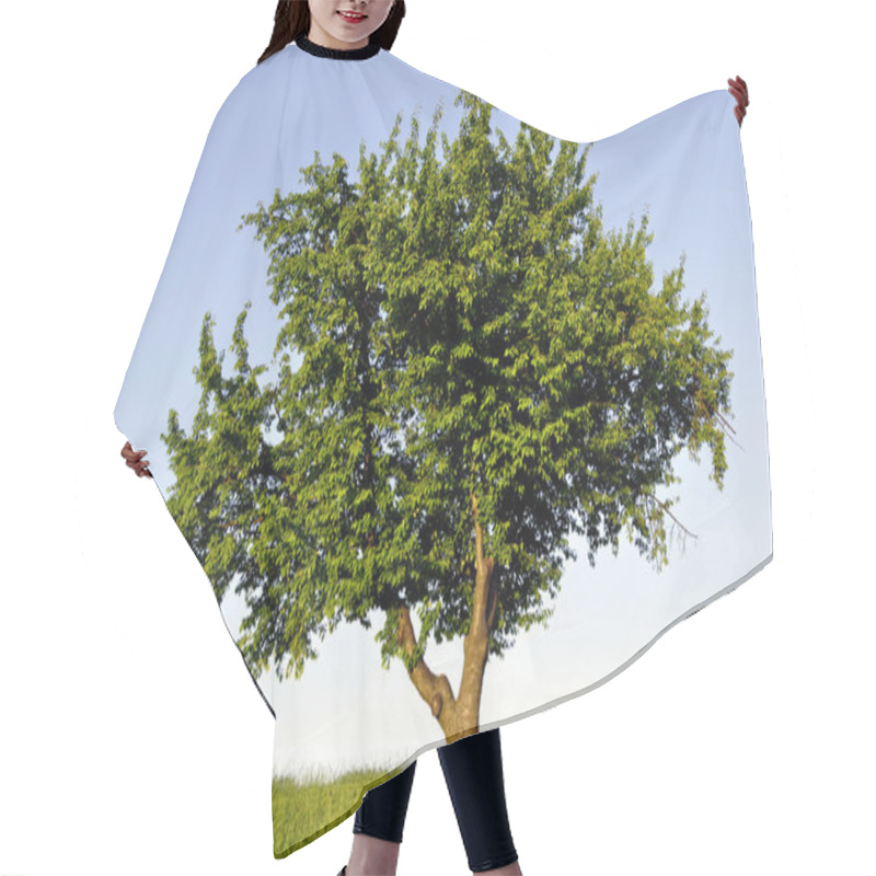 Personality  Big Lonely Tree Hair Cutting Cape