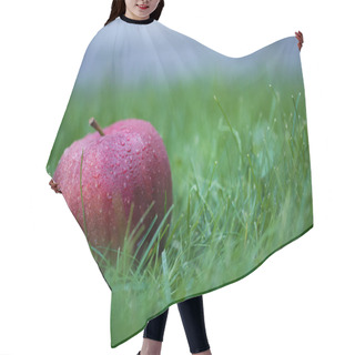 Personality  Fresh Picked Red Apple Hair Cutting Cape