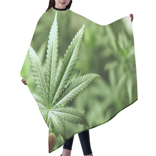 Personality  Cannabis Background Hair Cutting Cape