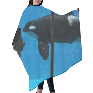 Personality  A Woman Watches An Orca Through Glass Hair Cutting Cape